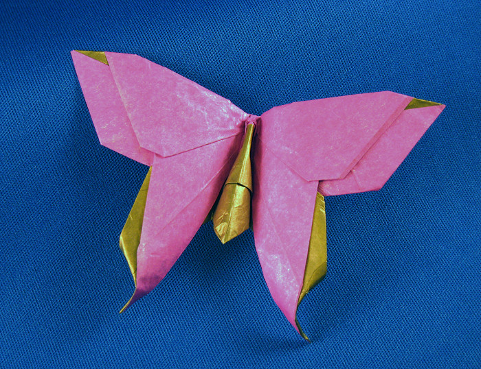 Origami Butterfly - Alexander Swallowtail by Michael G. LaFosse folded by Gilad Aharoni