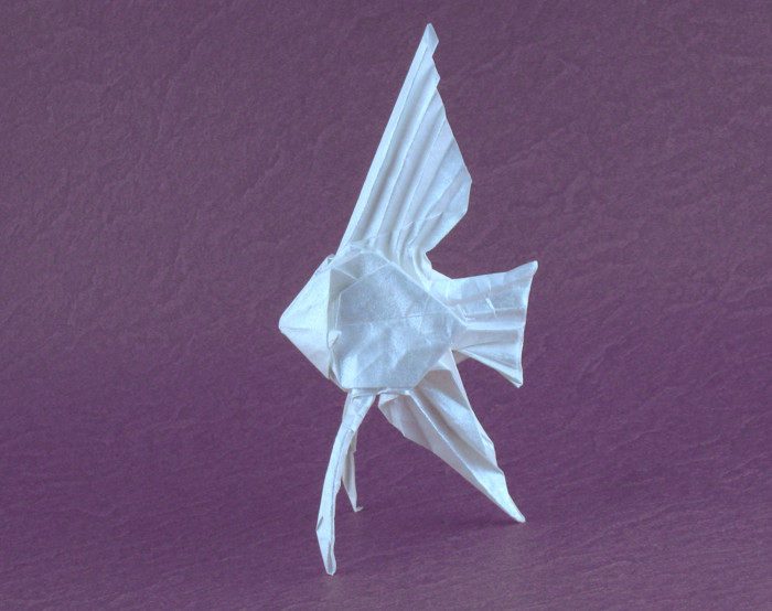 Origami Veiltail angelfish by Satoshi Kamiya folded by Gilad Aharoni