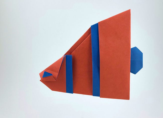Origami Angelfish by Marc Kirschenbaum folded by Gilad Aharoni