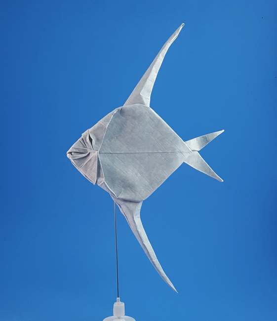Origami Angelfish by Akira Yoshizawa folded by Gilad Aharoni