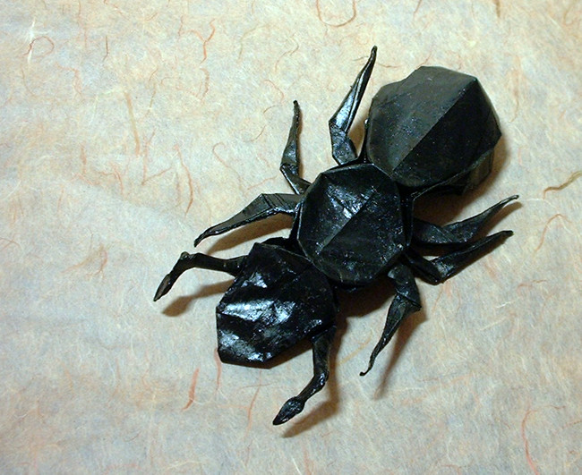 Origami Ant by Robert J. Lang folded by Gilad Aharoni
