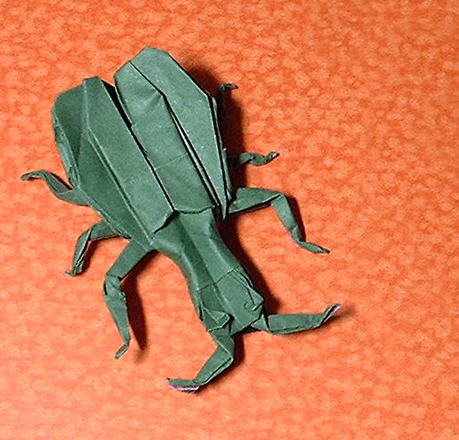 Origami Asparagus beetle by John Montroll folded by Gilad Aharoni