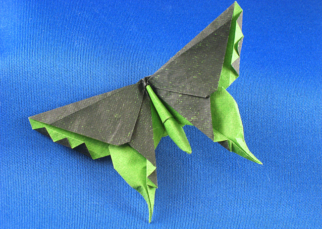 Origami Butterfly - Alexander Aztec swallowtail by Michael G. LaFosse folded by Gilad Aharoni