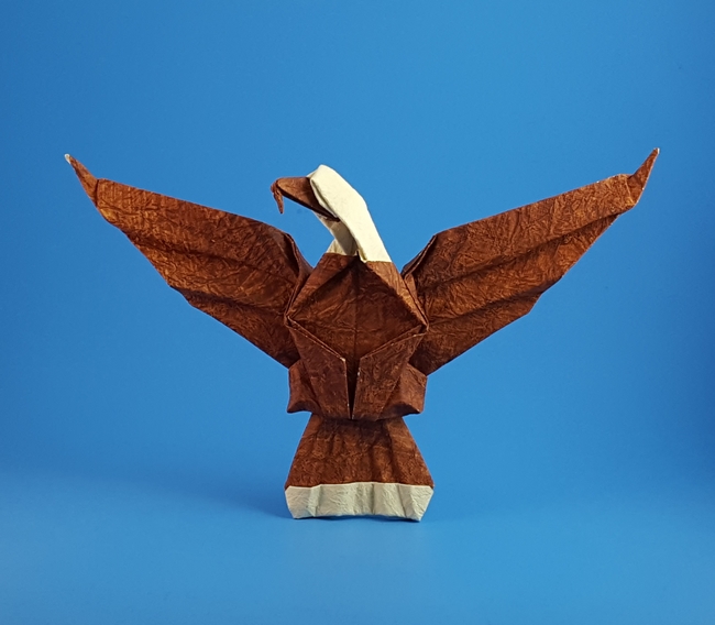 Origami Bald eagle by Fred Rohm folded by Gilad Aharoni