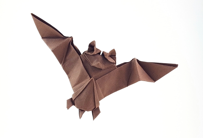 Origami Bat by Aoyagi Shoko folded by Gilad Aharoni