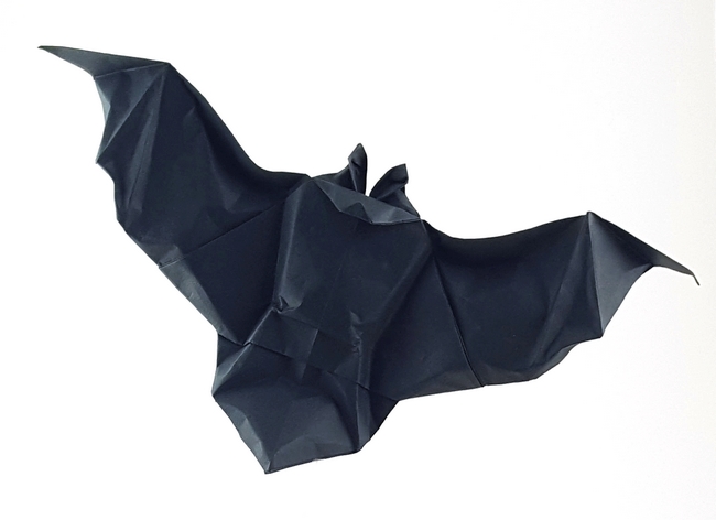 Origami Bat 1 by Alfredo Giunta folded by Gilad Aharoni