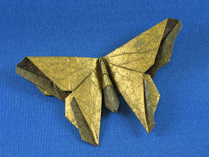 Origami Butterfly - Baxter by Michael G. LaFosse folded by Gilad Aharoni