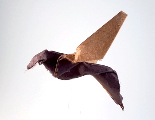 Origami Bee by Kunihiko Kasahara folded by Gilad Aharoni