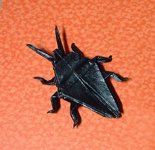 Origami Beetle by John Montroll folded by Gilad Aharoni