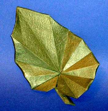 Origami Begonia leaf by Peter Engel folded by Gilad Aharoni