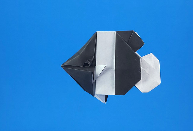 Origami Black pyramid butterflyfish by John Montroll folded by Gilad Aharoni