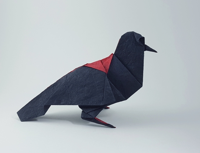 Origami Red-winged Blackbird by Robert J. Lang folded by Gilad Aharoni