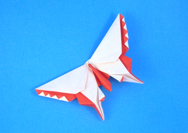 Origami Butterfly - Makoto-cho by Michael G. LaFosse folded by Gilad Aharoni