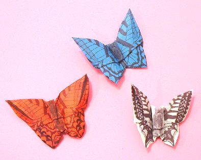 Origami Butterfly by Pasquale d'Auria folded by Gilad Aharoni