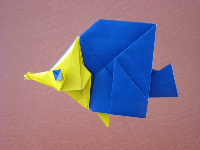 Origami Butterfly fish by Seo Won Seon (Redpaper) folded by Gilad Aharoni