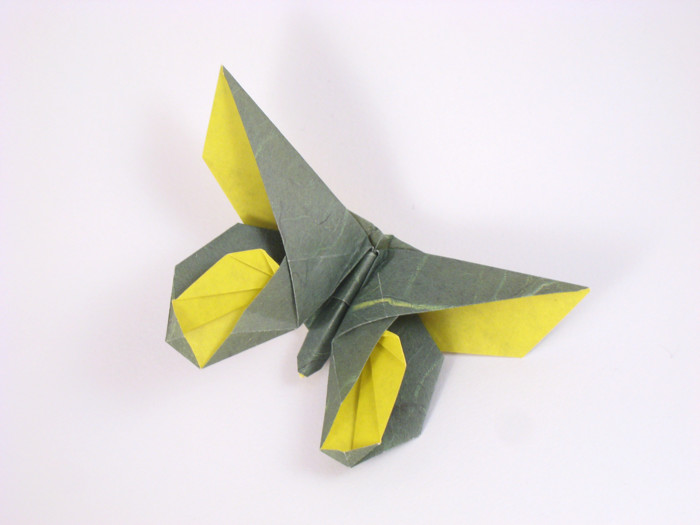 Origami Butterfly - Anne LaVin by Michael G. LaFosse folded by Gilad Aharoni