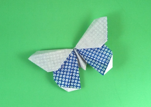 Origami Butterfly - Boston by Michael G. LaFosse folded by Gilad Aharoni