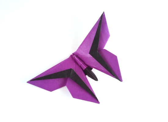 Origami Butterfly - Tony Cheng by Michael G. LaFosse folded by Gilad Aharoni