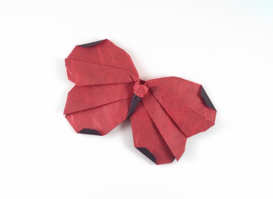 Origami Butterfly 9 by Alfredo Giunta folded by Gilad Aharoni