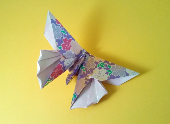 Origami Butterfly - Kyoto by Michael G. LaFosse folded by Gilad Aharoni