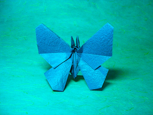 Origami Butterfly by Robert J. Lang folded by Gilad Aharoni