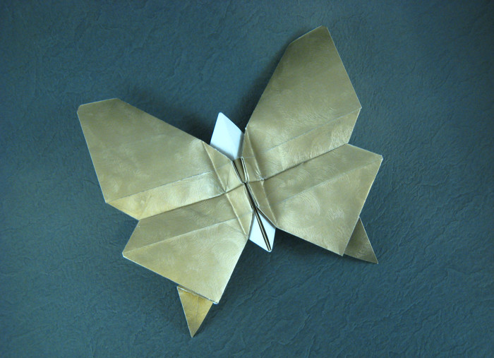 Origami Swallowtail butterfly by Jun Maekawa folded by Gilad Aharoni