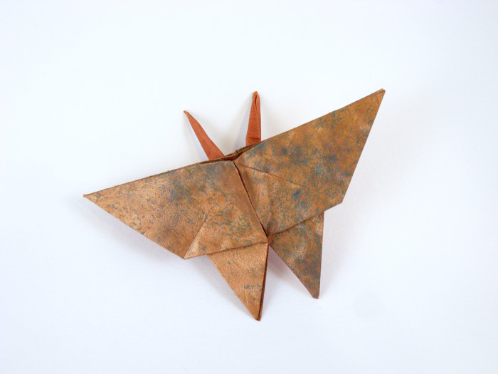 Origami Butterfly by Jun Maekawa folded by Gilad Aharoni
