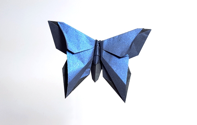 Origami Butterfly - Reiko Tuttle by Michael G. LaFosse folded by Gilad Aharoni