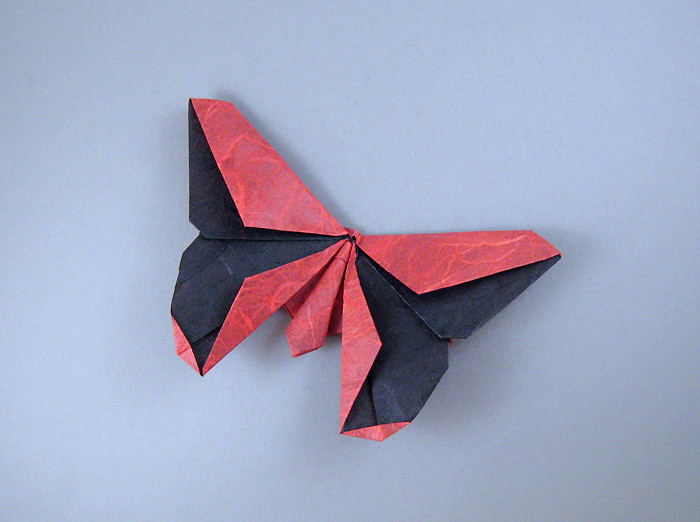 Origami Butterfly - V'Ann Cornelius by Michael G. LaFosse folded by Gilad Aharoni