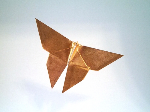 Origami Butterfly by Akira Yoshizawa folded by Gilad Aharoni