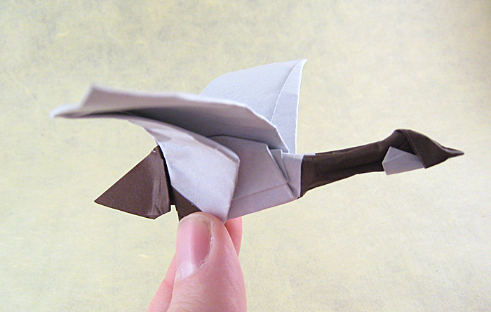 Origami Canada goose by Roman Diaz folded by Gilad Aharoni