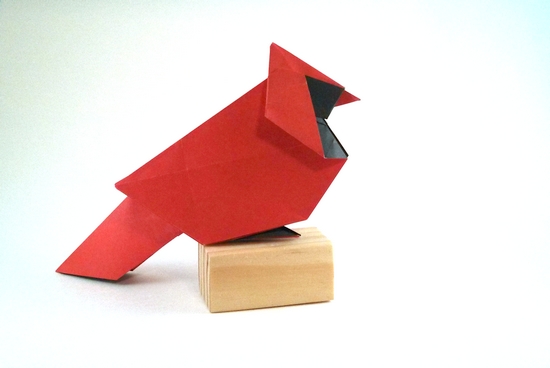 Origami North American cardinal by Roman Diaz folded by Gilad Aharoni