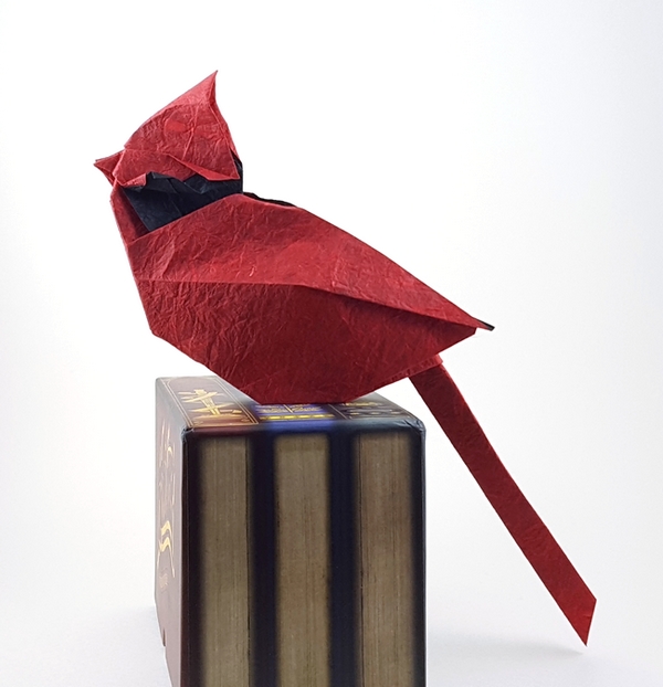 Origami Cardinal by Ta Trung Dong folded by Gilad Aharoni