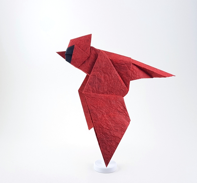Origami Cardinal by Seth M. Friedman folded by Gilad Aharoni