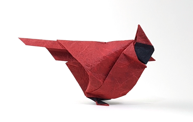 Origami Cardinal by Beth Johnson folded by Gilad Aharoni