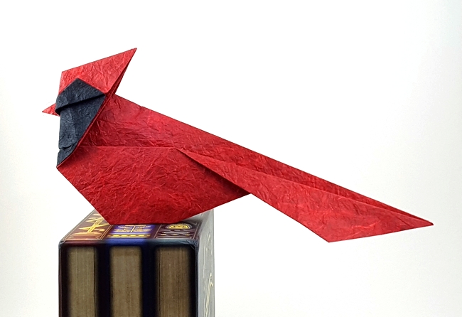 Origami North American cardinal by Michael G. LaFosse folded by Gilad Aharoni