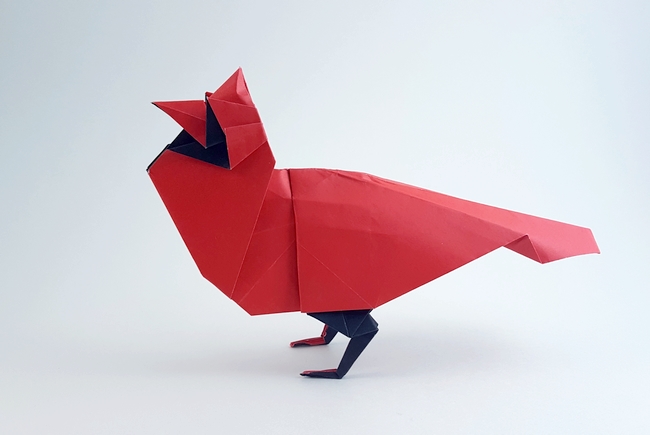 Origami North American Cardinal by Robert J. Lang folded by Gilad Aharoni