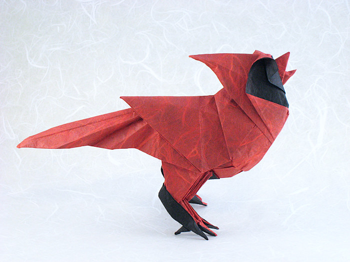 Origami North American Cardinal - singing by Roman Diaz folded by Gilad Aharoni