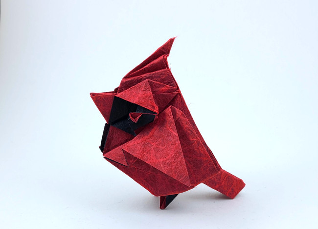 Origami Cardinal by Jiahui Li (Syn) folded by Gilad Aharoni