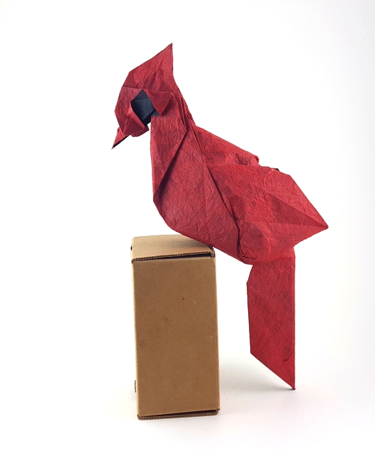 Origami Cardinal by Ynon Toledano folded by Gilad Aharoni