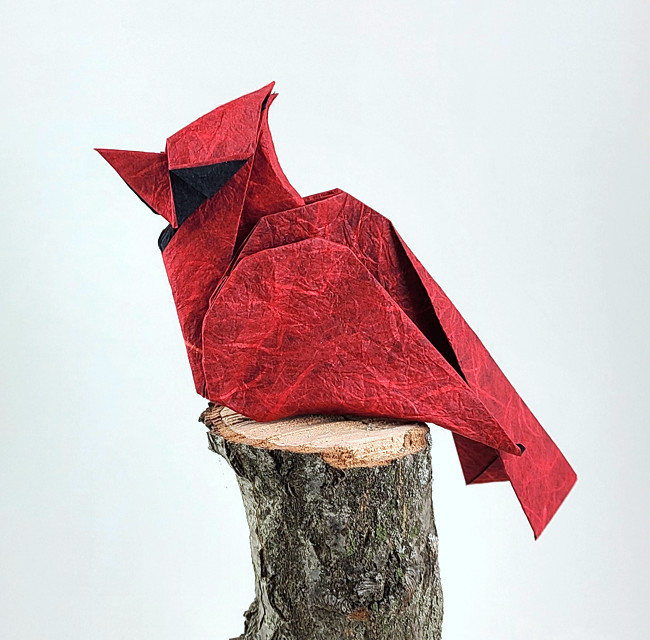 Origami Cardinal by Quentin Trollip folded by Gilad Aharoni
