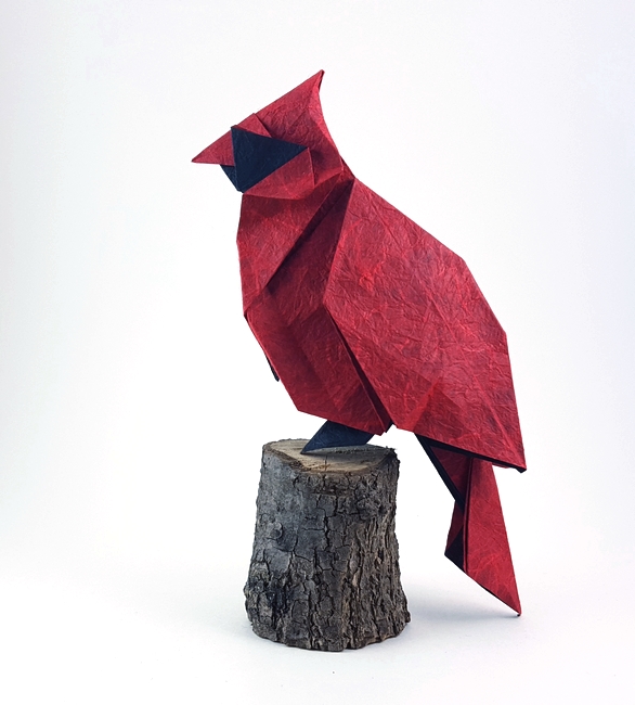 Origami Cardinal by Yoo Tae Yong folded by Gilad Aharoni