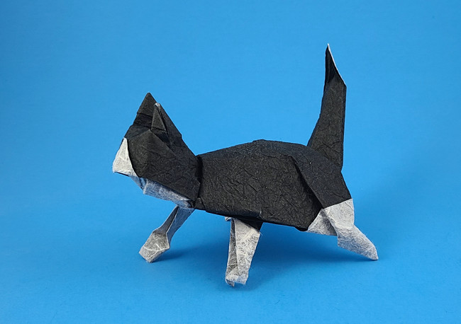 Origami Black and white cat by David Brill folded by Gilad Aharoni