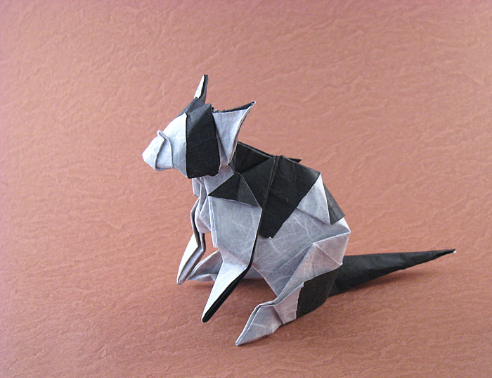 Origami Cat herr by Fumiaki Kawahata folded by Gilad Aharoni