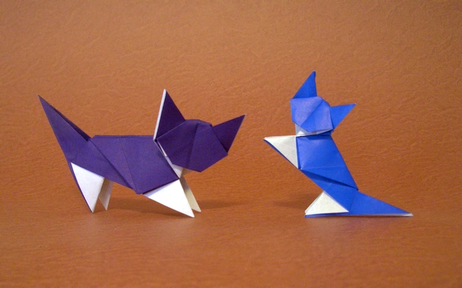 Origami Cat - White Socks by Jun Maekawa folded by Gilad Aharoni