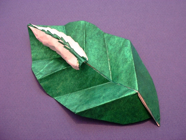 Origami Caterpillar on a leaf by Eugeny Fridrikh folded by Gilad Aharoni