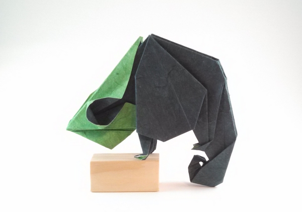 Origami Chameleon by Do Ba Huy folded by Gilad Aharoni