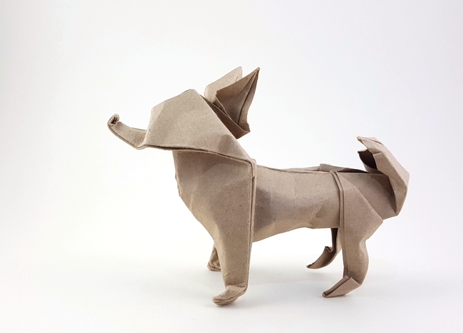 Origami Chihuahua by John Montroll folded by Gilad Aharoni