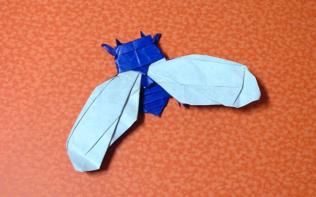 Origami Cicada by Lionel Albertino folded by Gilad Aharoni