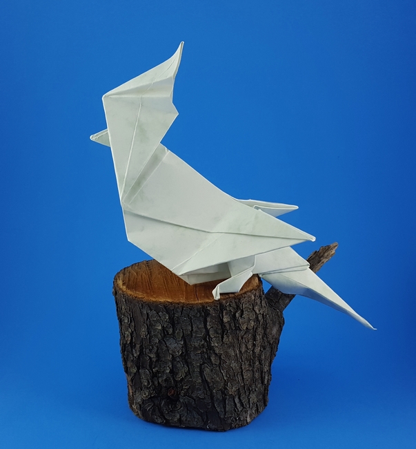 Origami Cockatoo by John Montroll folded by Gilad Aharoni